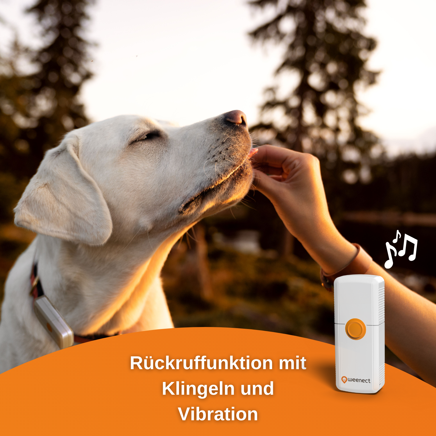 WEENECT Dogs 2 Hunde Tracker GPS für