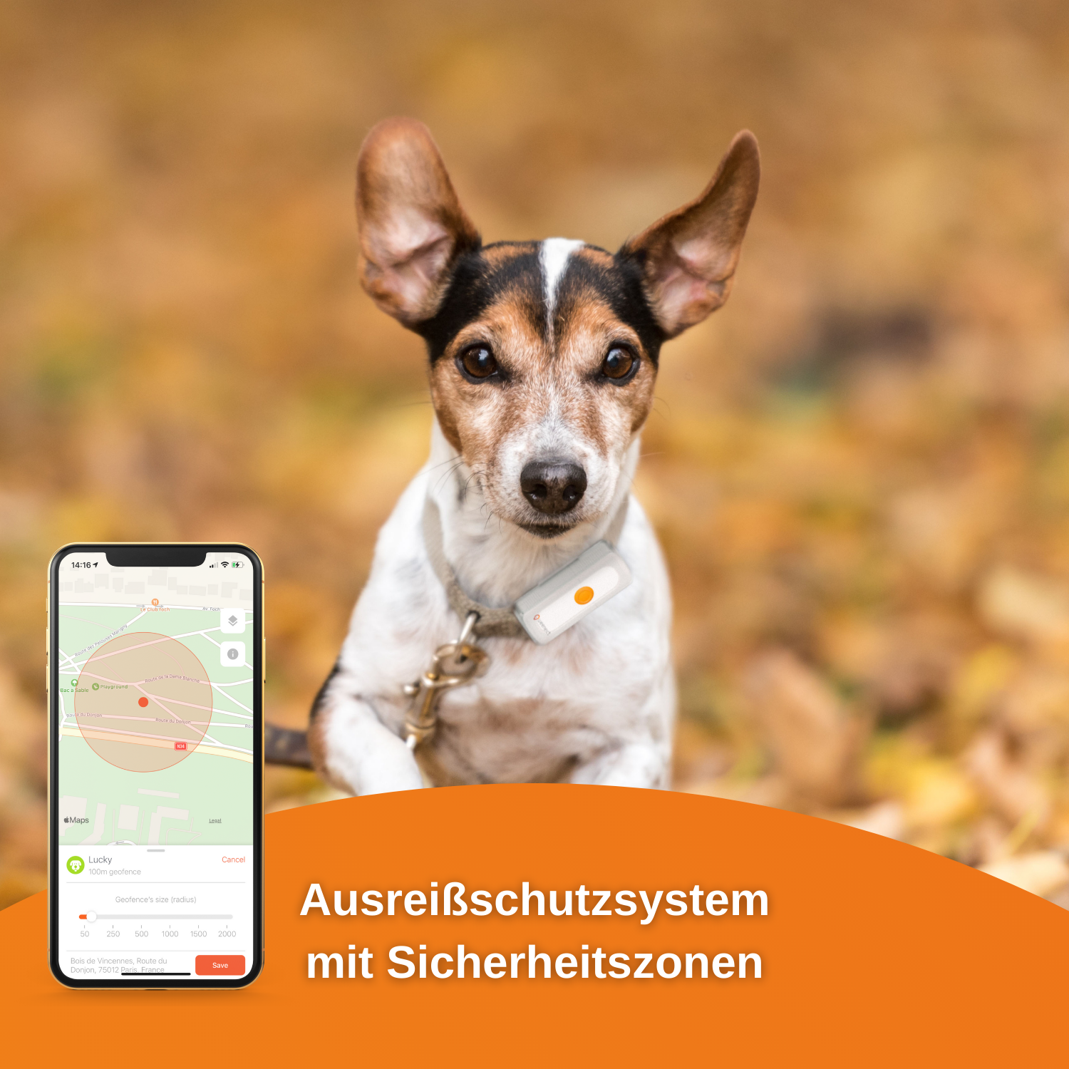 WEENECT für Dogs Tracker GPS 2 Hunde