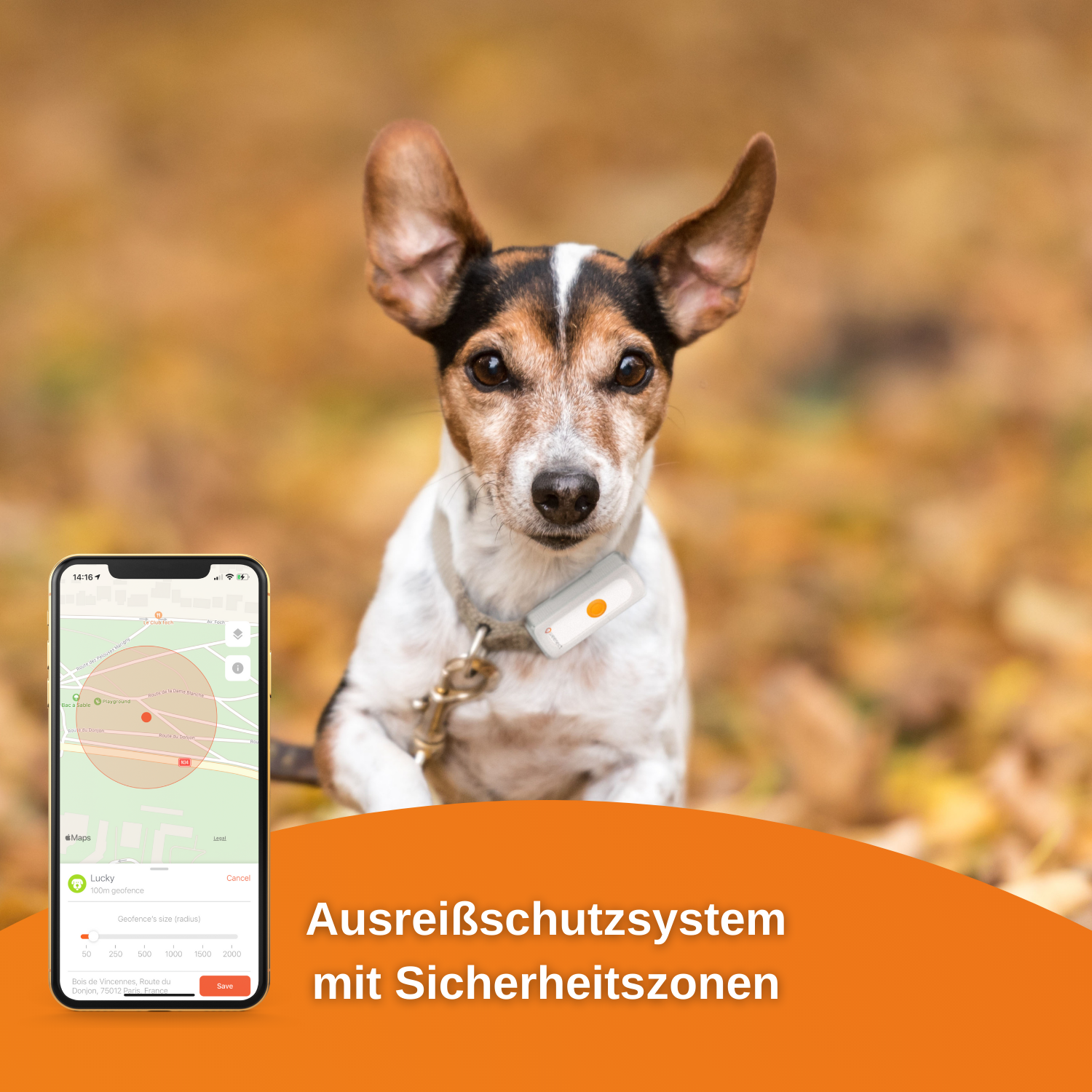 WEENECT Dogs 2 GPS Tracker Hunde für