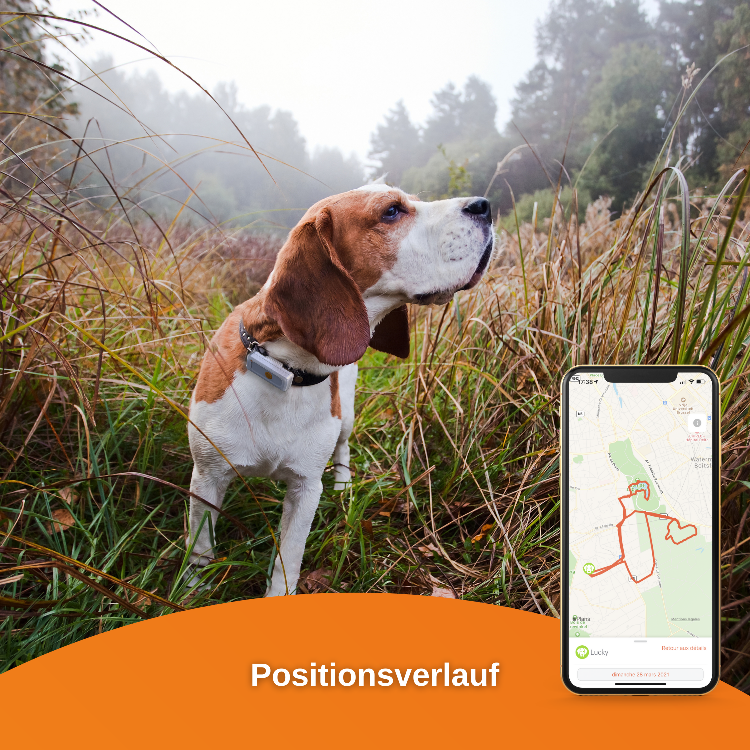 Dogs GPS für Tracker Hunde 2 WEENECT