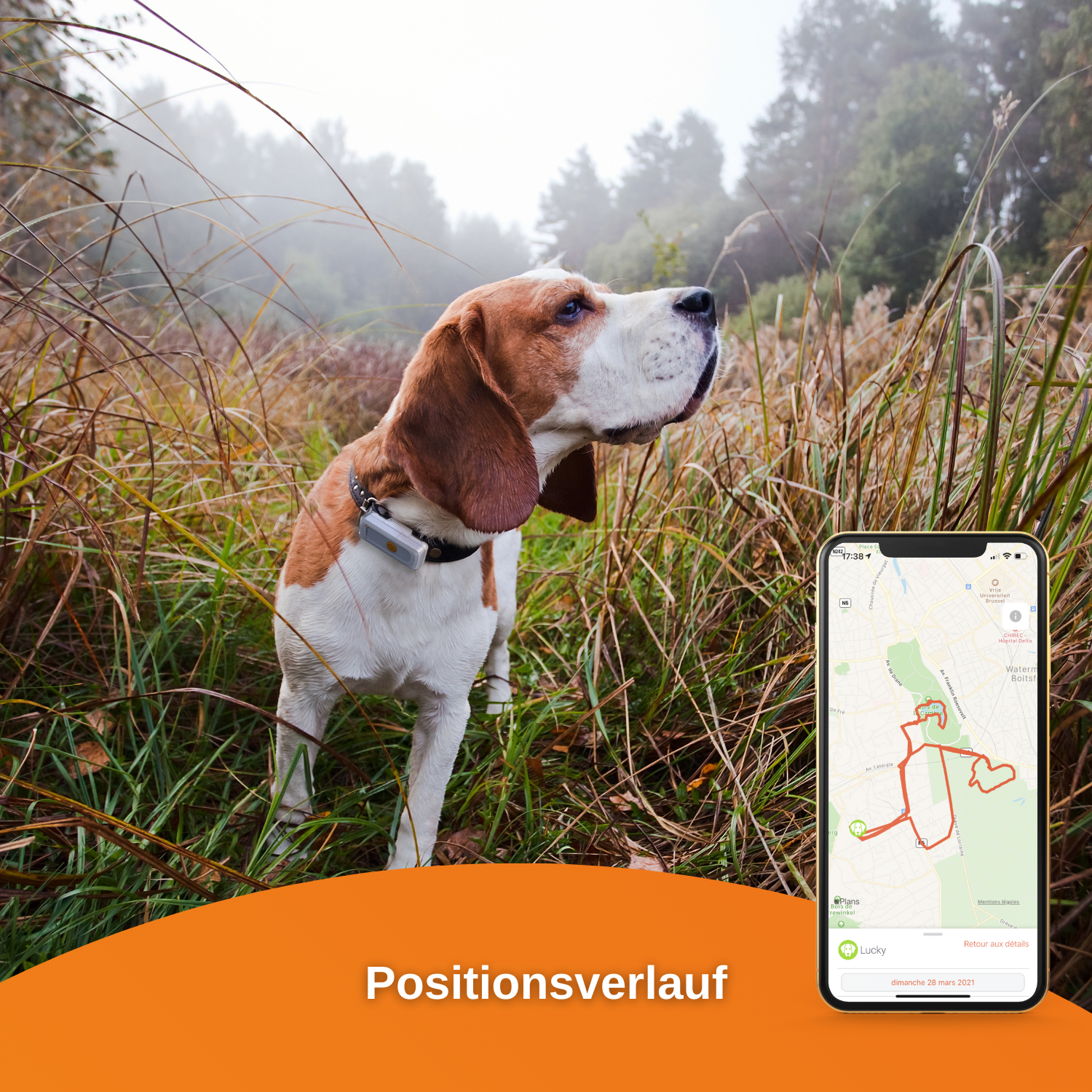 WEENECT Dogs 2 Hunde Tracker GPS für