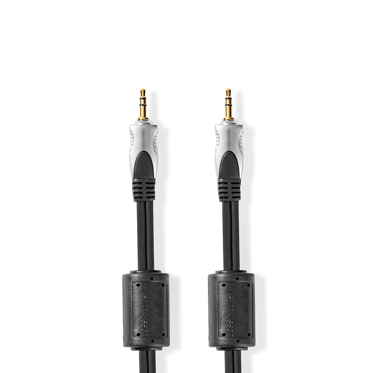 Deux câbles audio noirs avec des extrémités argentées, sur fond blanc.