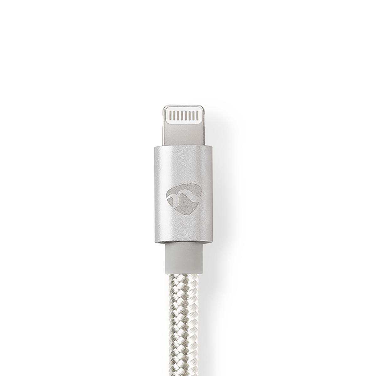 Cavo Lightning argentato con connettore argentato, su sfondo bianco.