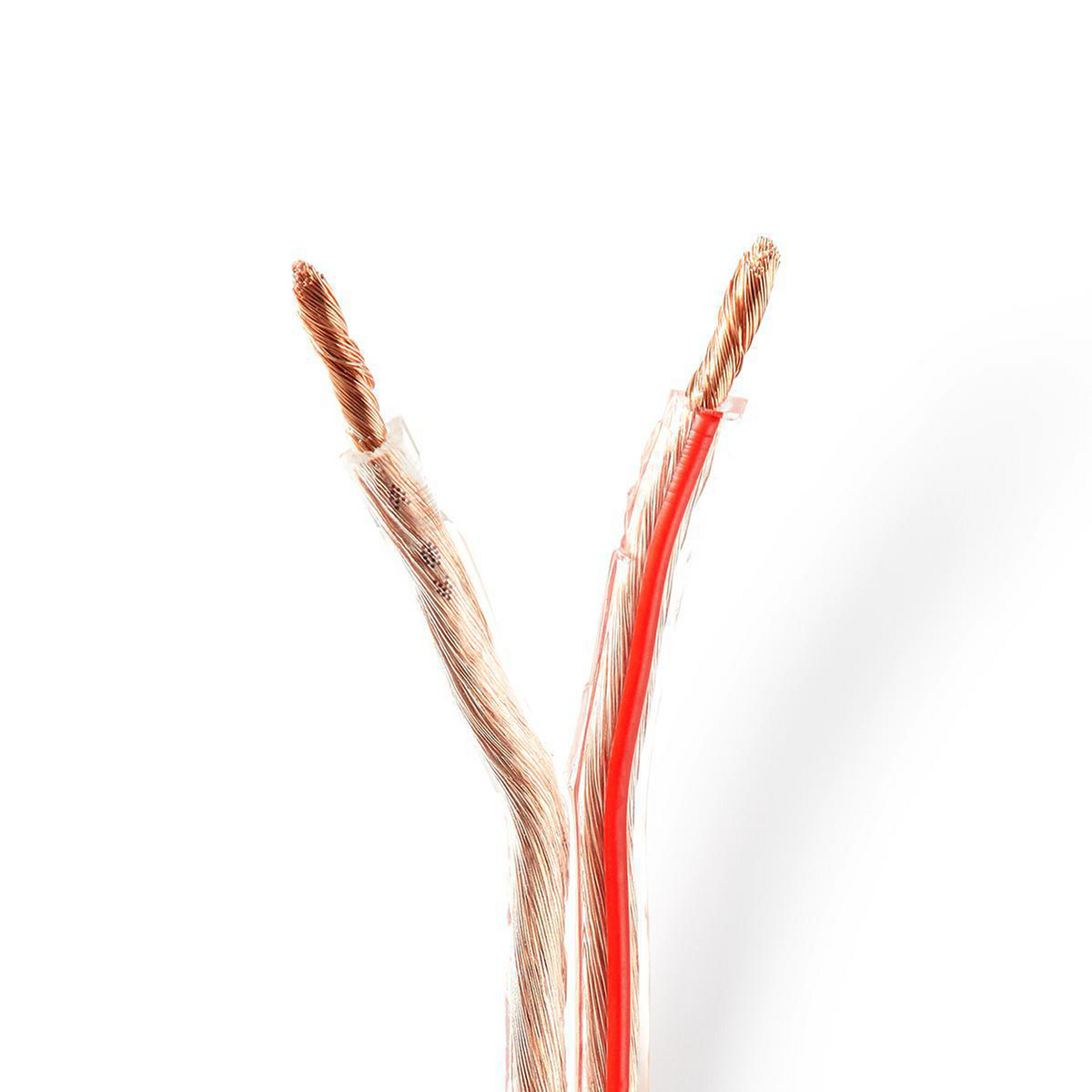 Twee luidsprekerdraden, een doorzichtige met koperdraden, de andere rood, tegen een witte achtergrond.