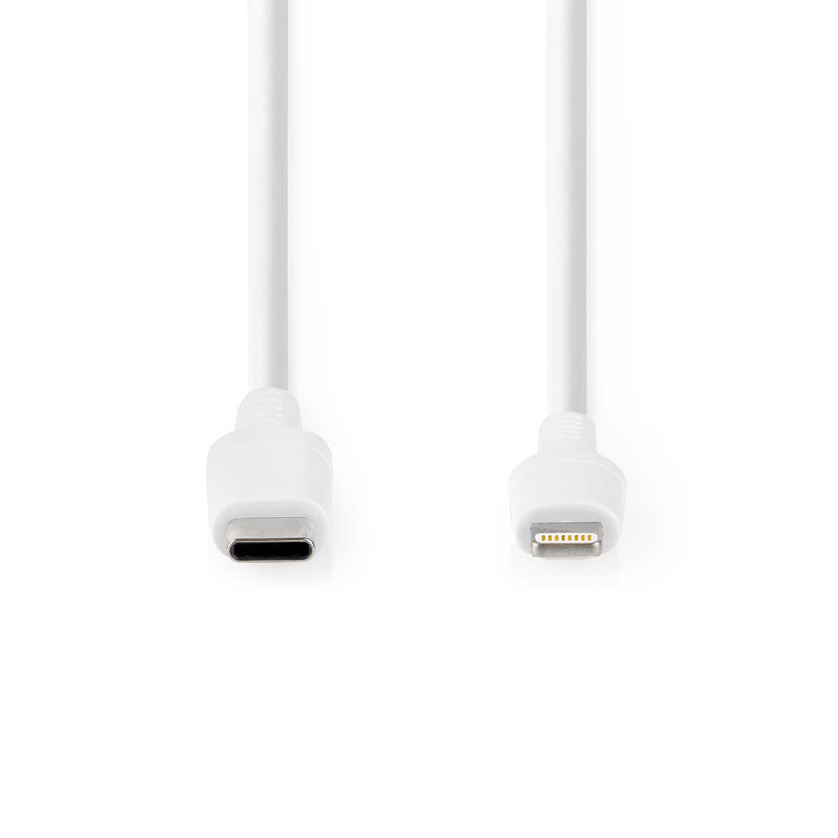 Due connettori USB-C bianchi su bianco, che mostrano le estremità.