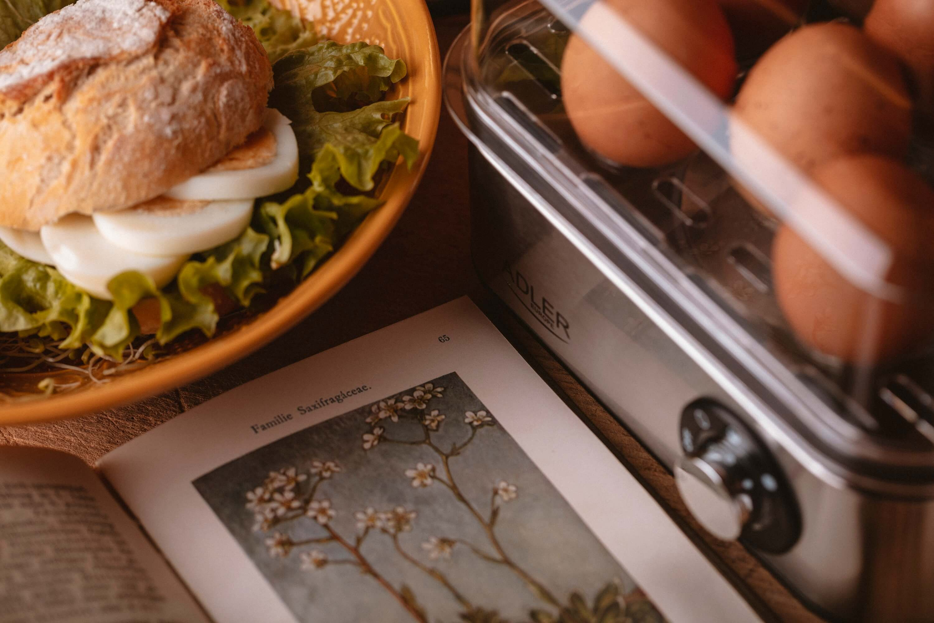 Scena śniadania z kanapką, jajkami w parowarze i otwartą książką z ilustracjami kwiatów.