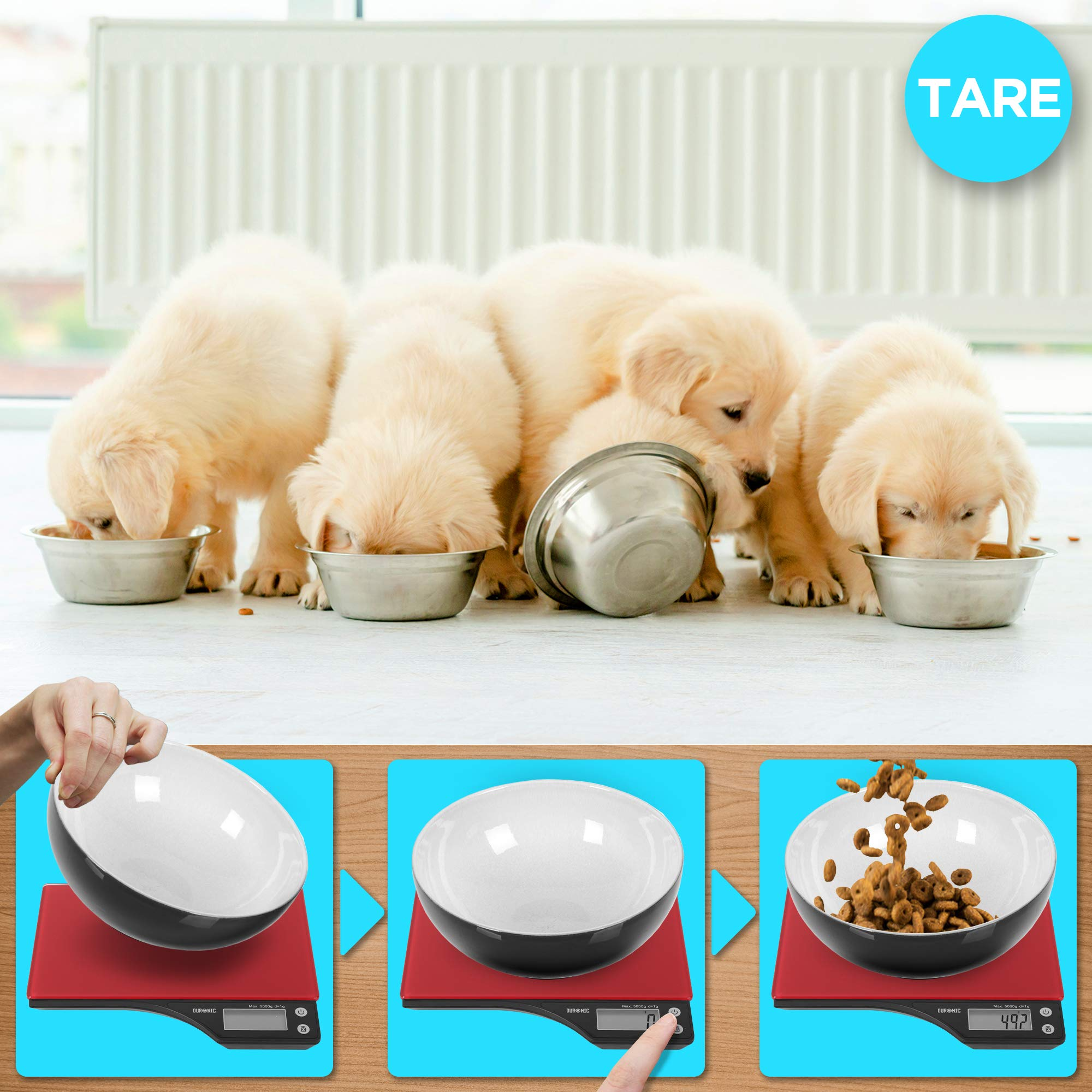 Cuatro cachorros comiendo de cuencos sobre un fondo azul. Una balanza y comida en primer plano.