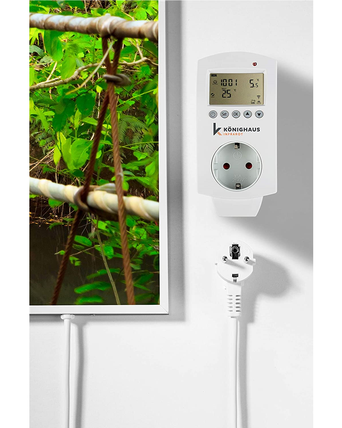 Eine weiße Wand mit einem Smart Plug und einem gerahmten Bild von Grün.