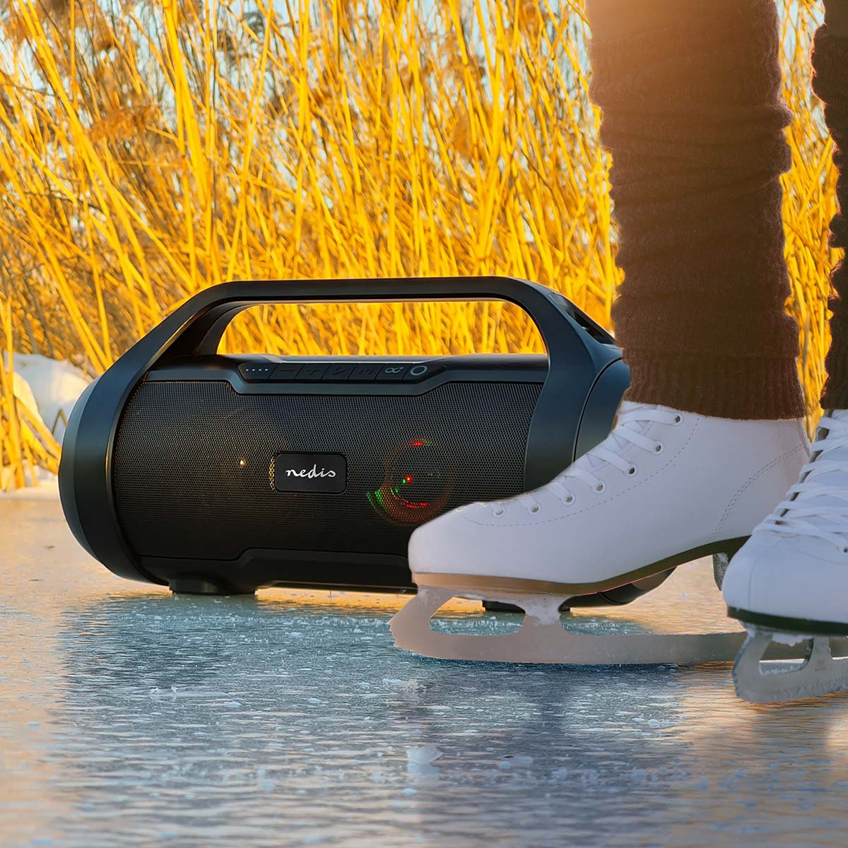 Czarny głośnik obok osoby w łyżwach na lodzie. Tło przedstawia wysokie, suche rośliny.