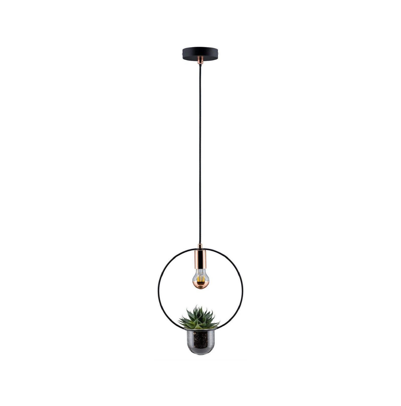 Czarna lampa wisząca z rośliną w szklanej doniczce, na białym tle.