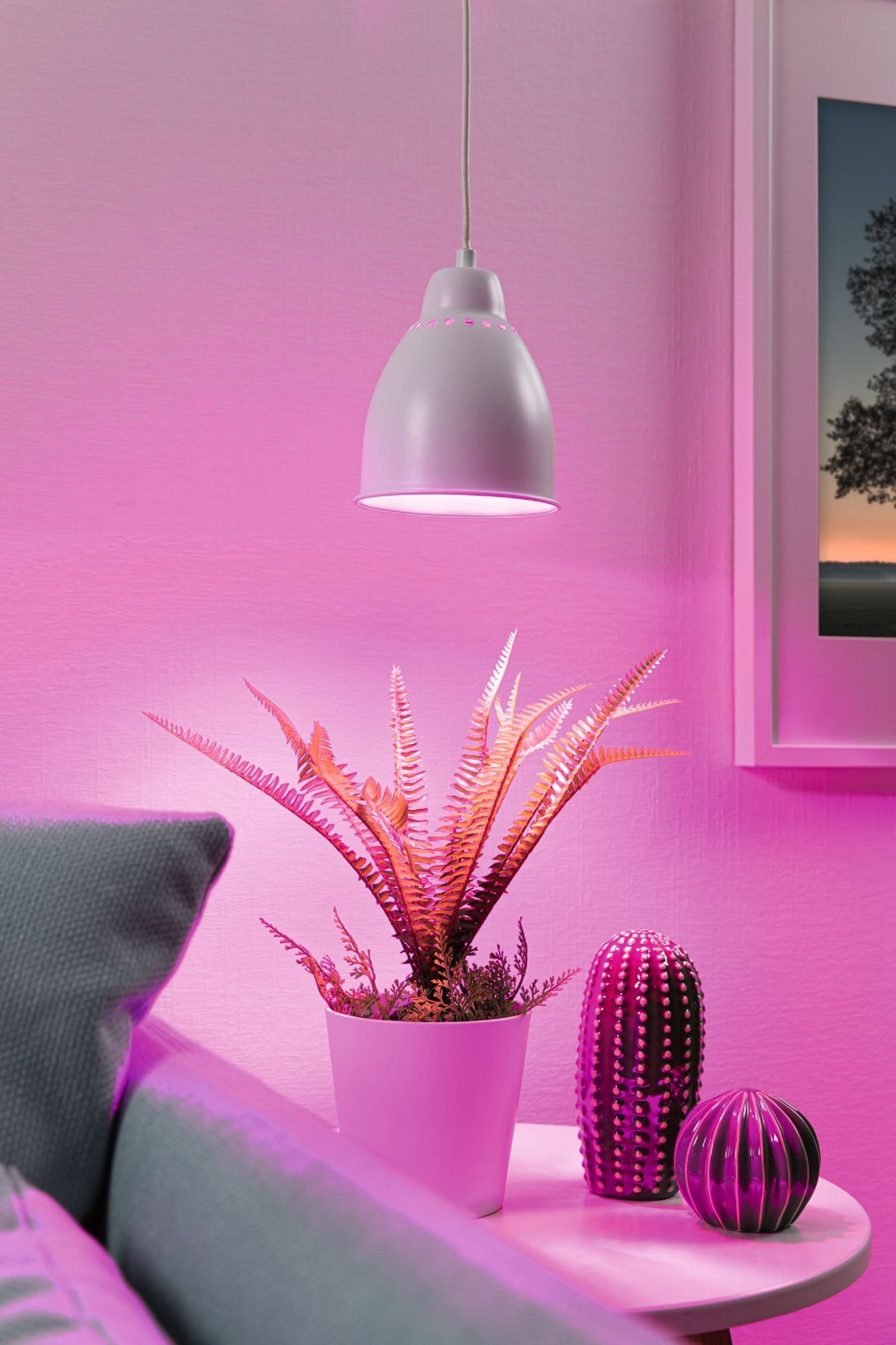 Interno illuminato di rosa con lampada a sospensione, pianta e oggetti decorativi.