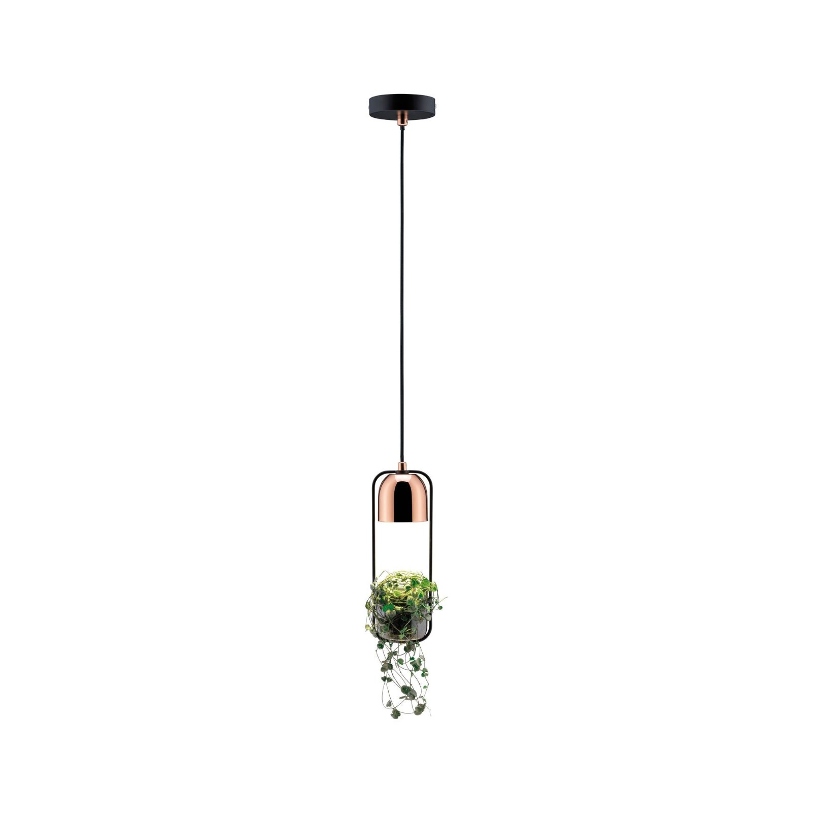 Lampa wisząca z małą rośliną. Oprawa ma kolor miedziany.