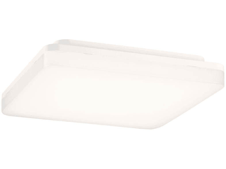 LICHT PAULMANN White Cela LED Panel Switch (79839)