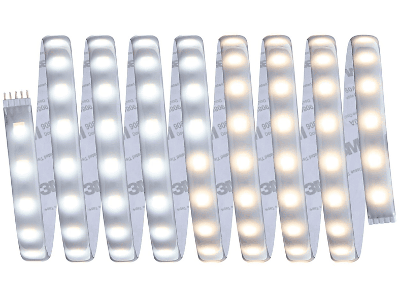 Tunable MaxLED 500 (70624) LICHT White PAULMANN LED Strip