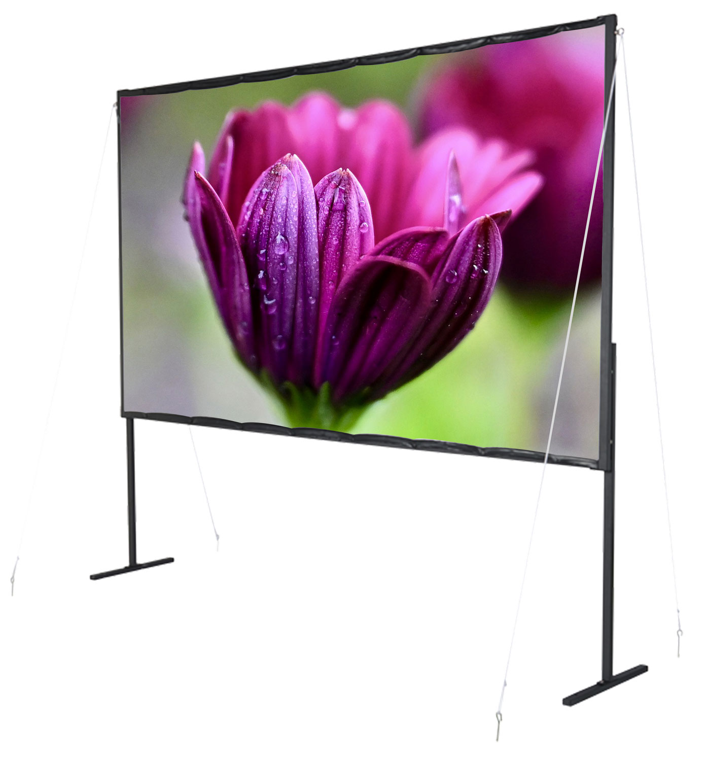 Pantalla para proyector - CELEXON 79" celexon basic line de marco 177 x 99 cm formato para cine en casa y exterior