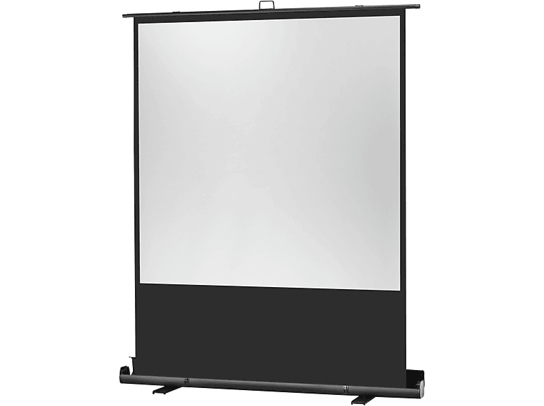 Plus Leinwand Beamer CELEXON Professional