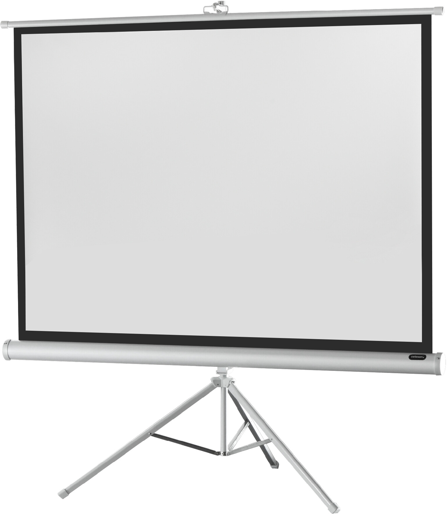 CELEXON Economy Stativleinwand Edition White