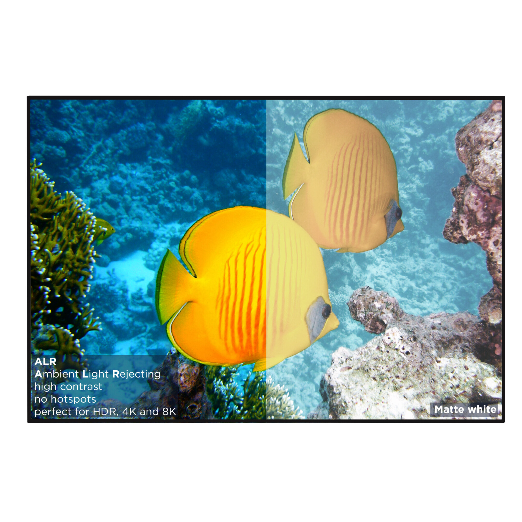 Bild mit zwei gelben Fischen. Text beschreibt ALR-Technologie für HDR, 4K und 8K auf weißem Hintergrund.