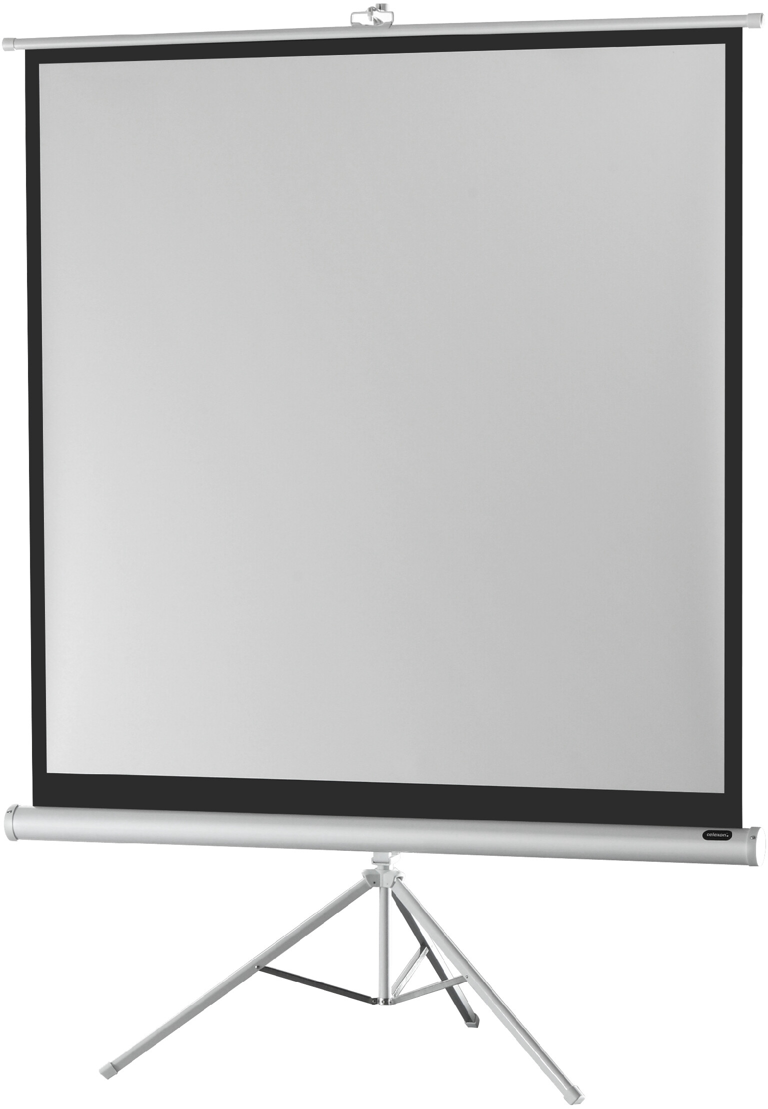 Economy CELEXON Stativleinwand Edition White