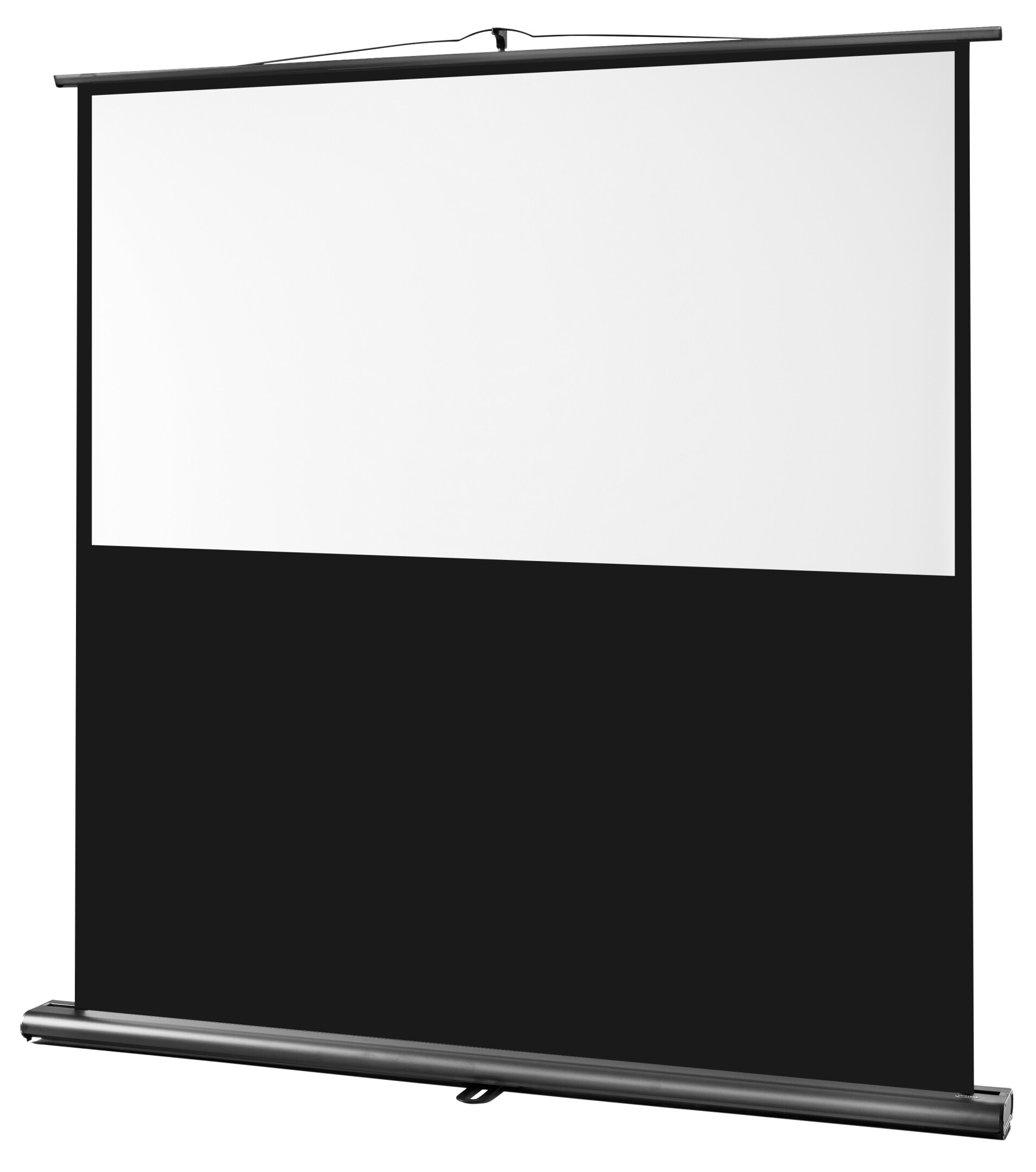 Leinwand CELEXON Professional