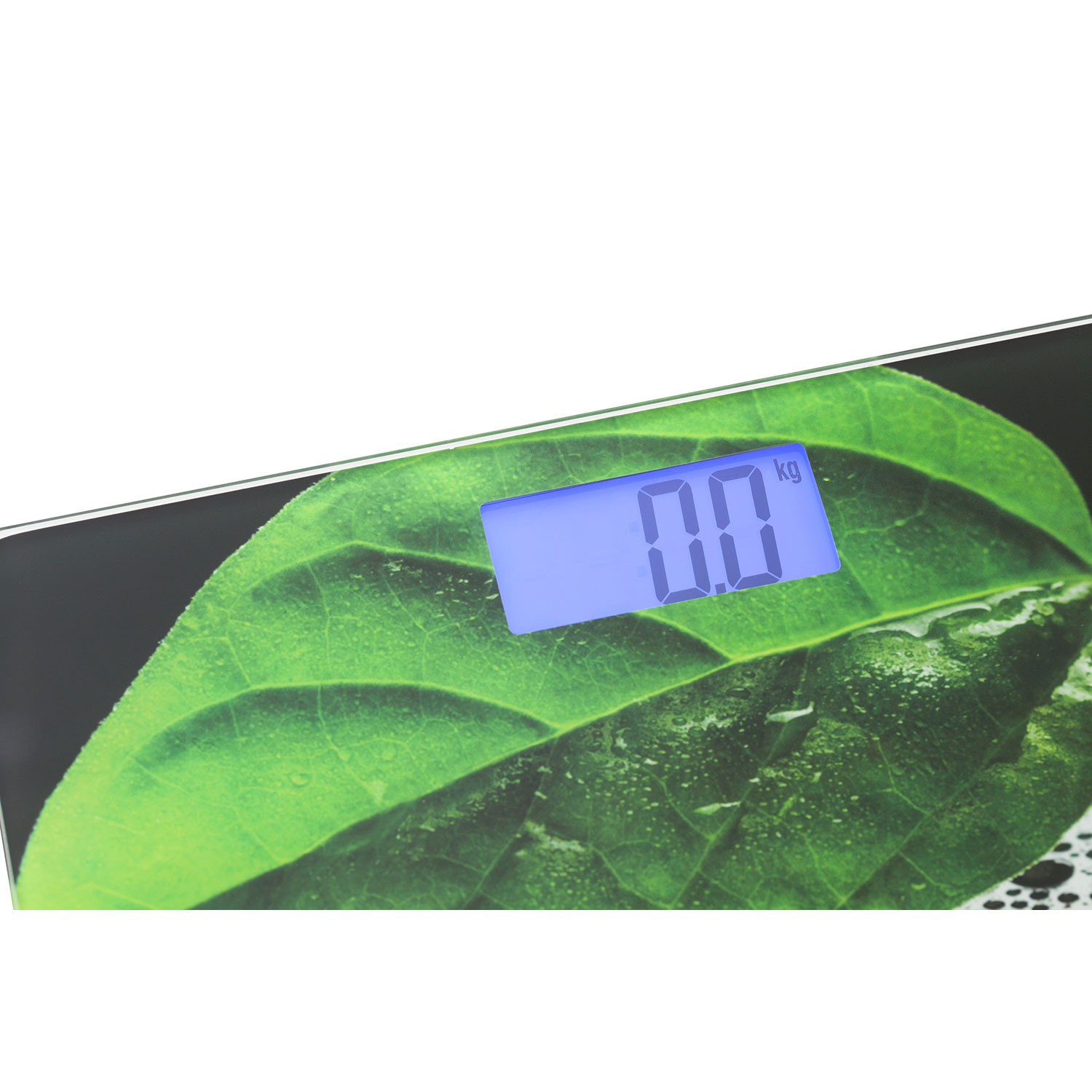 Nahaufnahme einer Digitalwaage mit 0,0 kg auf grünem Blatt-Hintergrund.