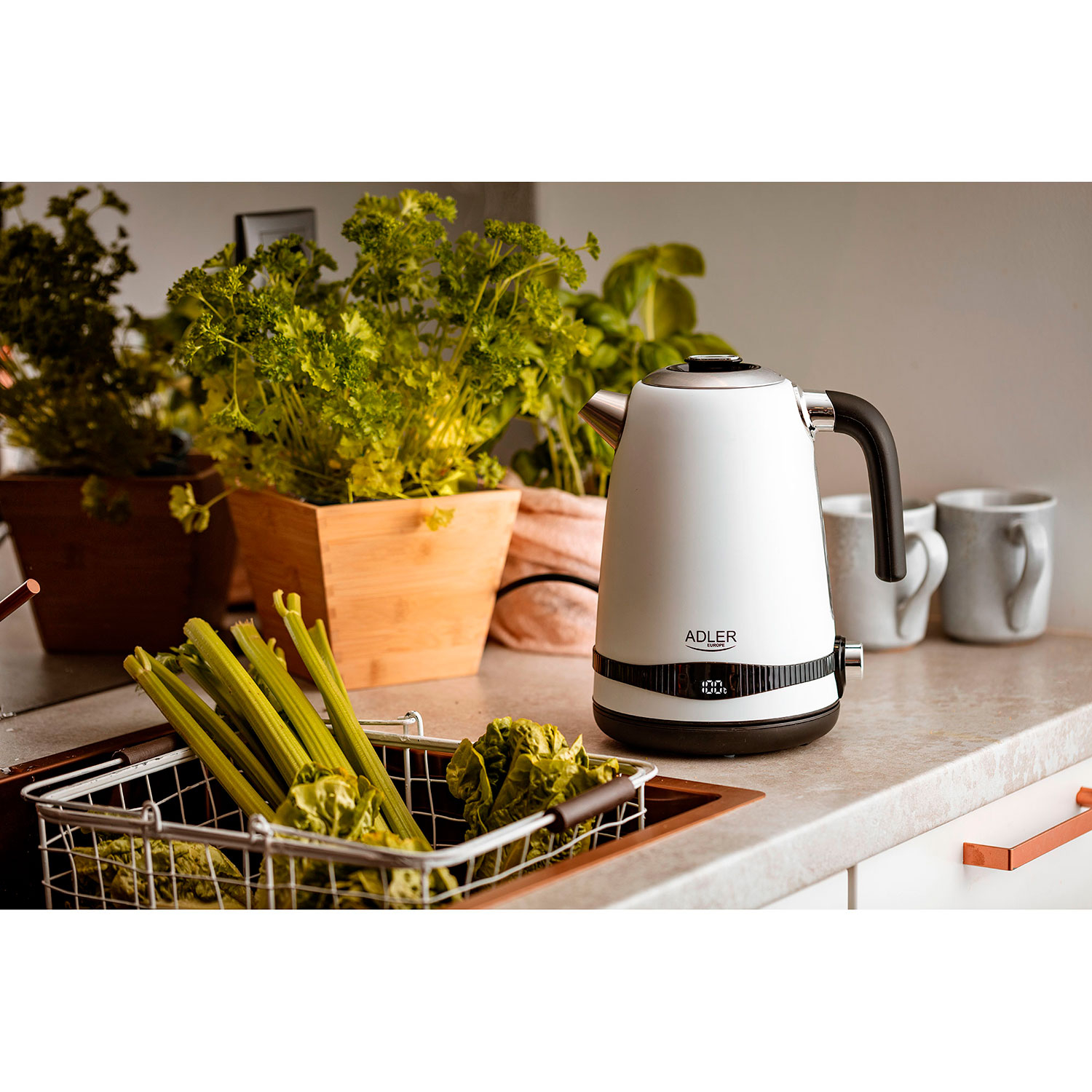 Biały czajnik elektryczny. Selery w koszu i rośliny w tle. Scena kuchenna.