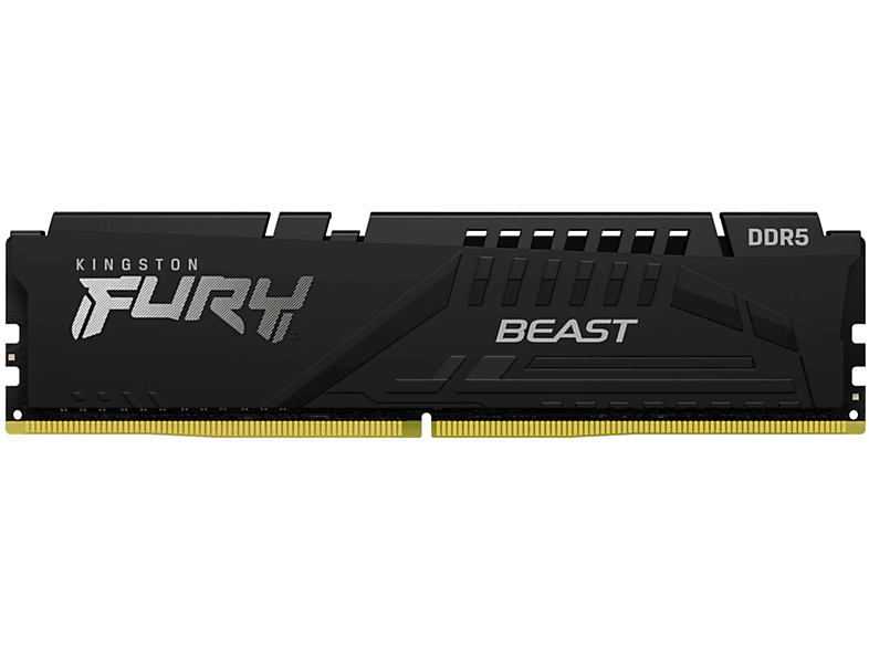 Beast GB KINGSTON DDR5 8 Arbeitsspeicher