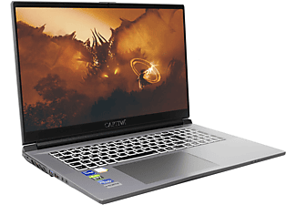 CAPTIVA Advanced Gaming I68-705CH, Gaming-Notebook mit 17,3 Zoll Display,  Prozessor, 16 GB RAM, 500 GB SSD, GeForce RTX™ 3050, silberfarben