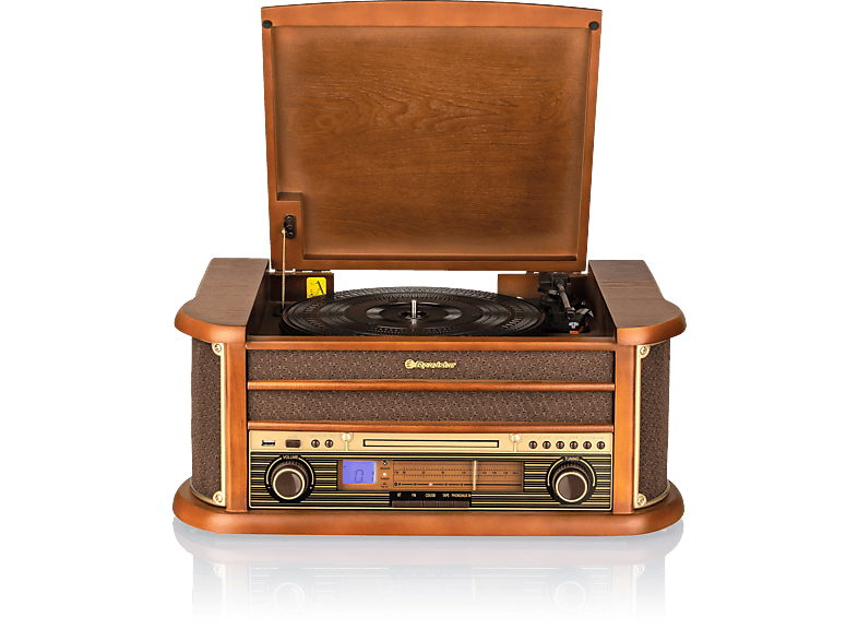 ROADSTAR HIF-1993 BT Radio, FM, FM, Bluetooth, Holzfarben | Radiogeräte