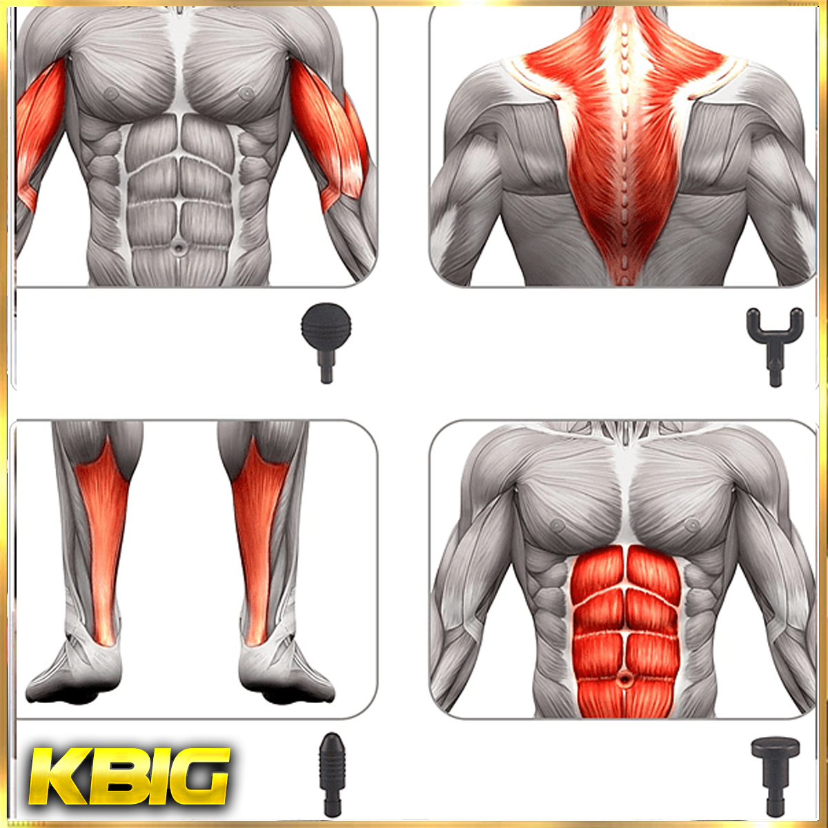 Gráfico de anatomía con diagramas musculares. Muestra brazos, espalda, piernas y abdomen con resaltado muscular.