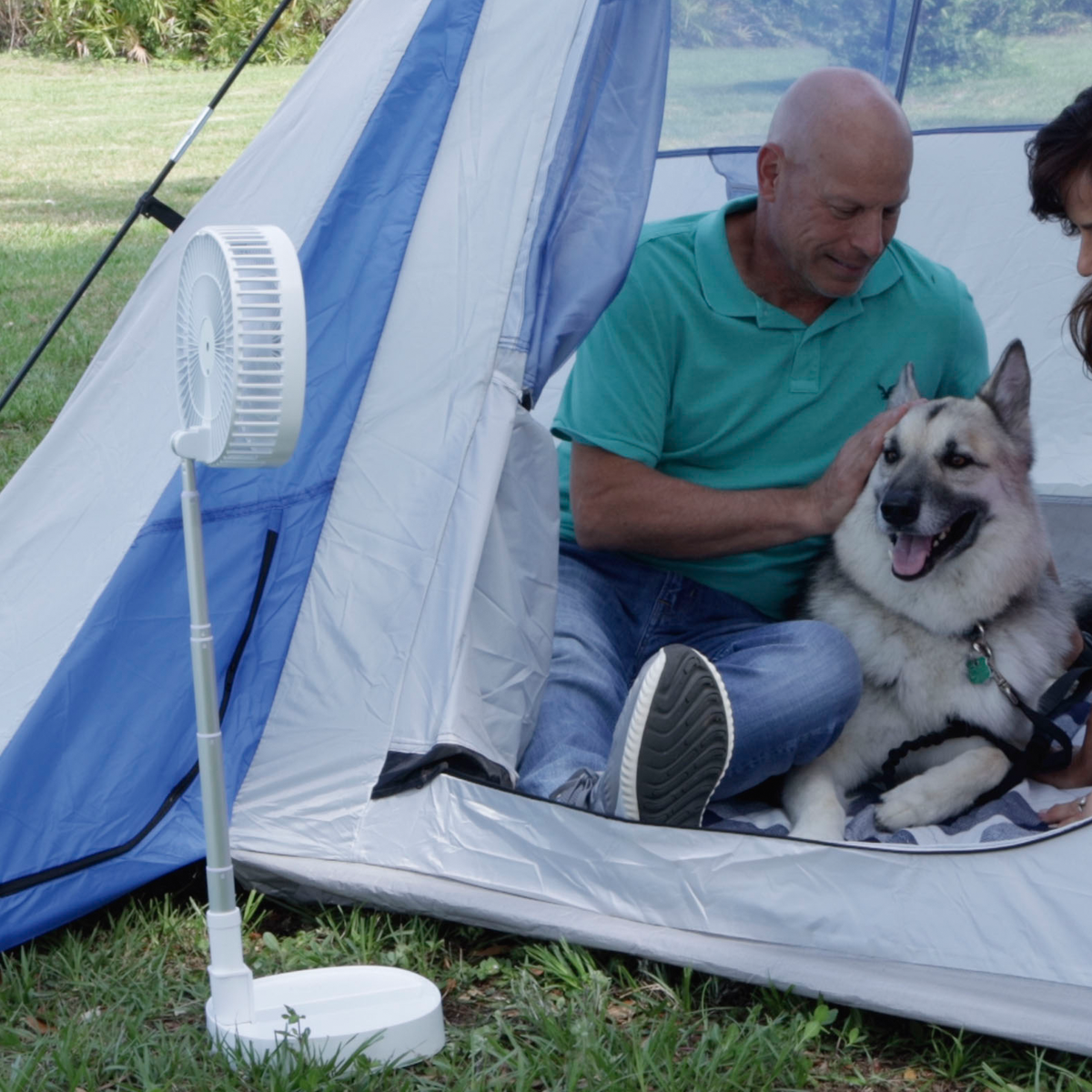 Mann streichelt einen Hund in einem Zelt, mit einem Ventilator in der Nähe, auf einer grünen Wiese.
