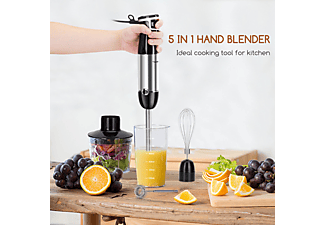 stabmixer set saturn