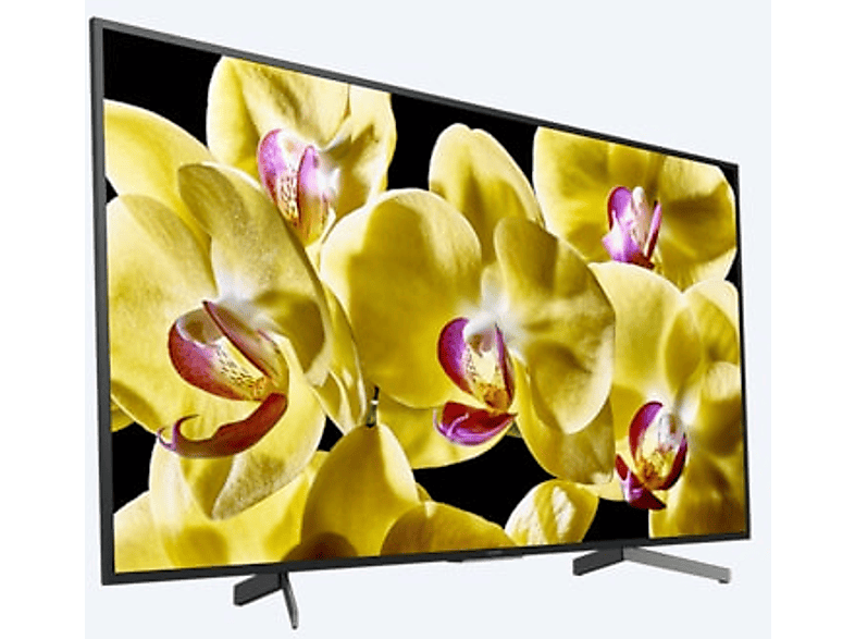 TV LED 49 - SONY KD-49XG8096BAEP, UHD 4K, 4K X-Reality PRO, DVB-T2  (H.265), Negro