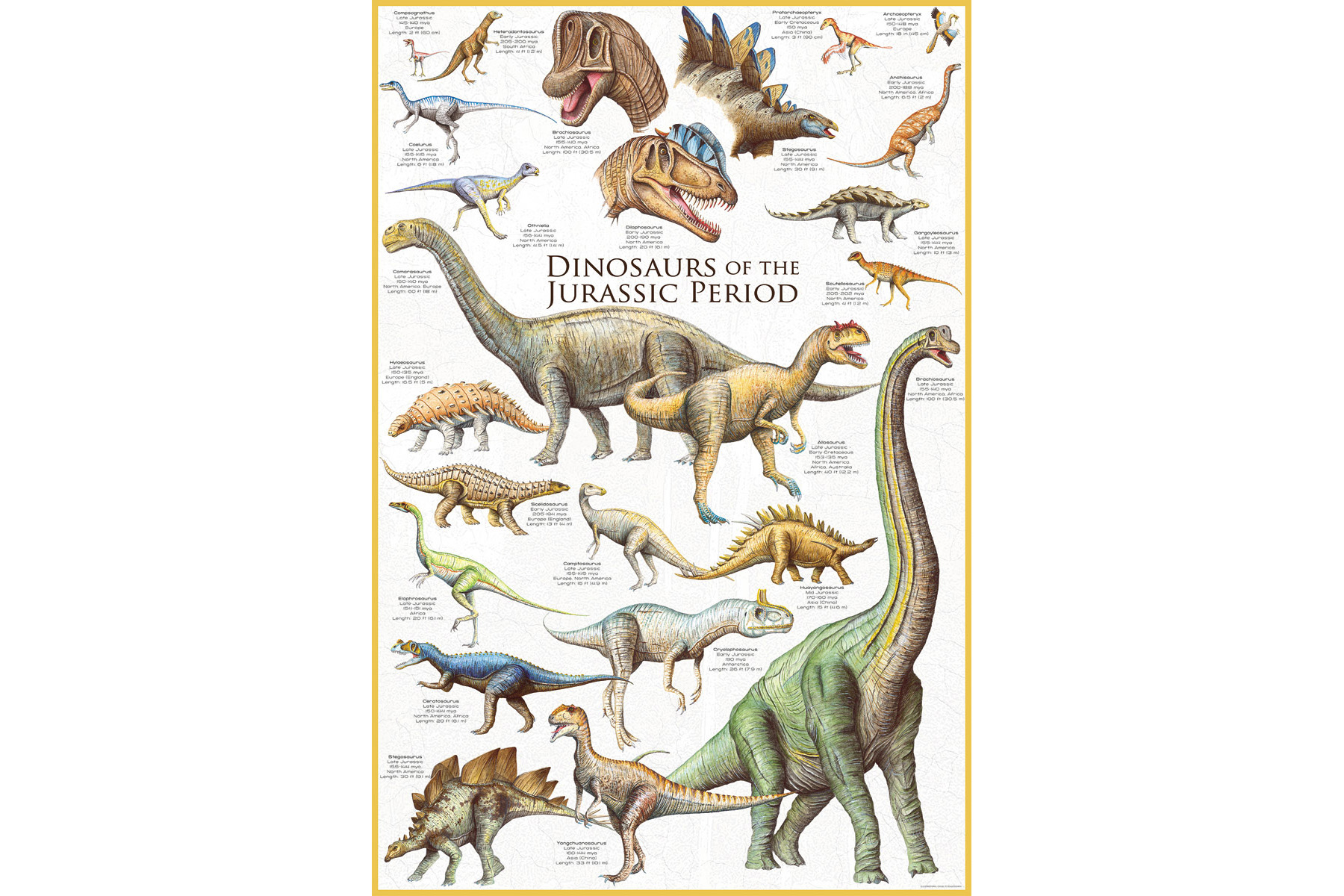 1000 Teile Puzzle - Dinosaurier Jura Zeit der