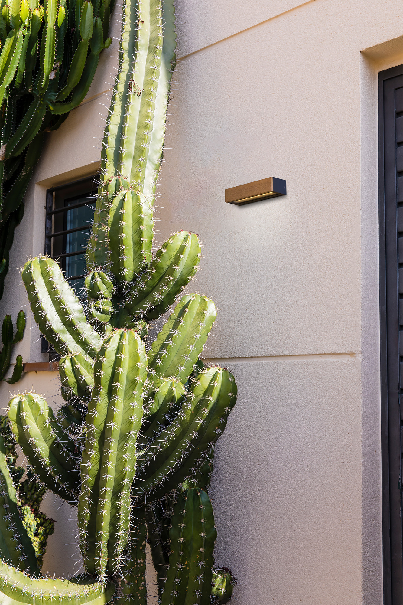 Una luce esterna a parete accanto a un cactus.