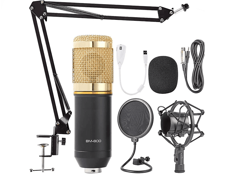 Microfono Bm800 Condensador Brazo Soporte Pc Estudio Antipop