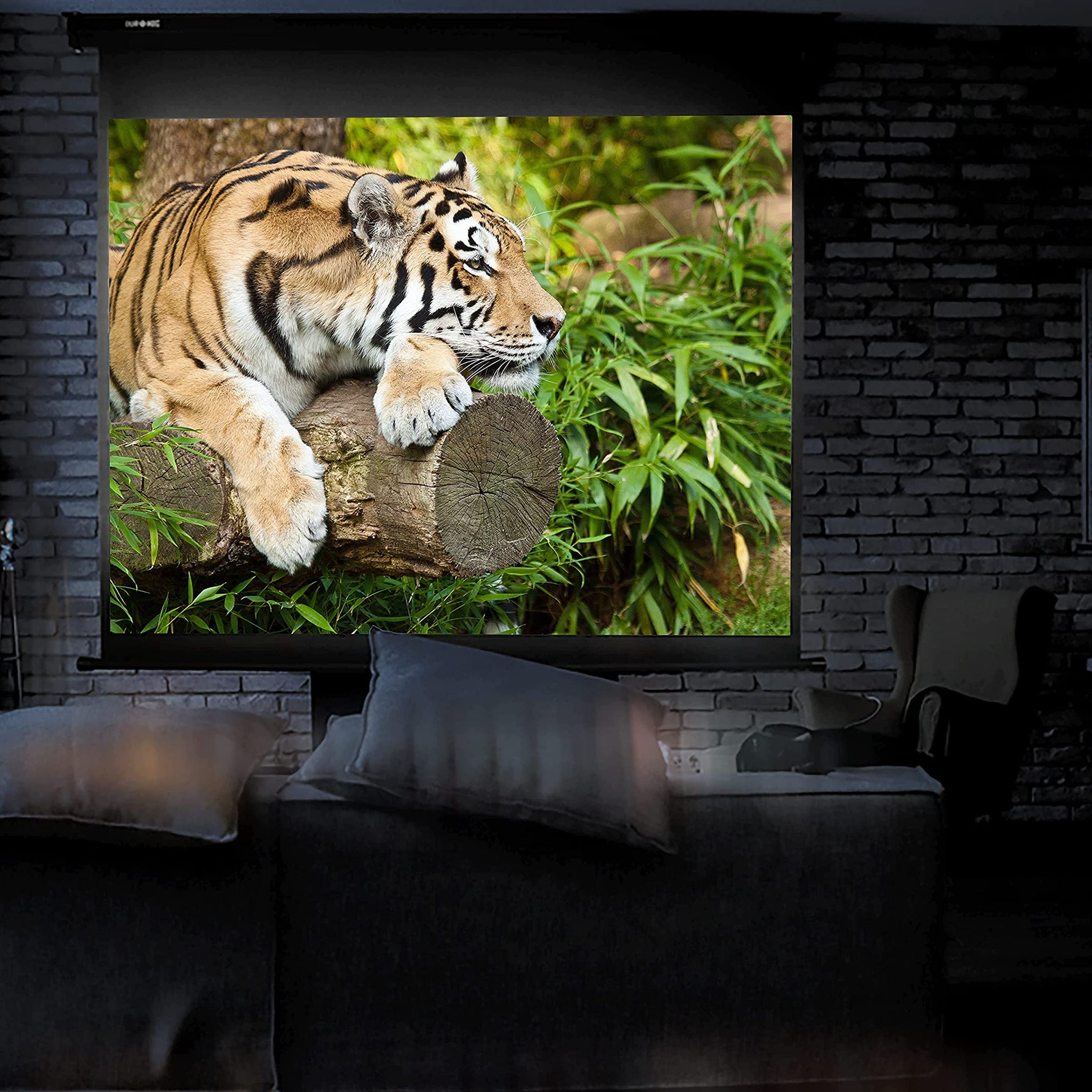 Un tigre yace sobre un tronco, proyectado en una pantalla en una habitación tenue.