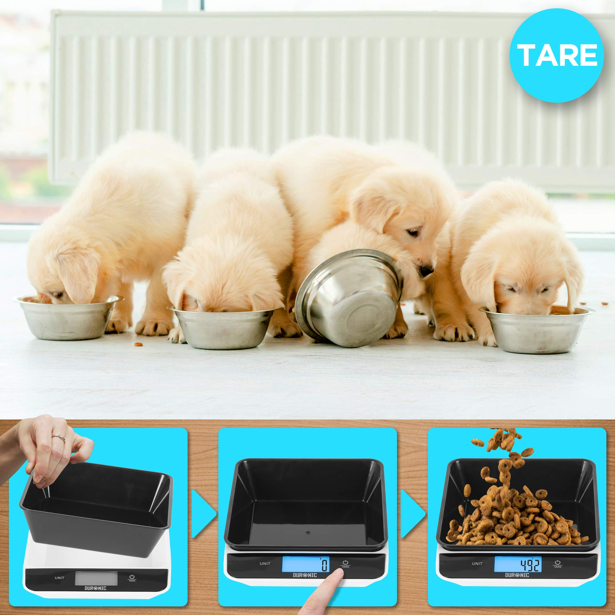 Cachorros comen de cuencos, y los pasos de una báscula negra midiendo comida con un recipiente negro.