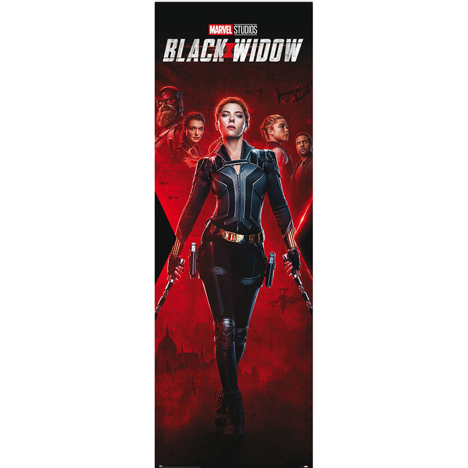 Widow - Natasha Black Romanoff