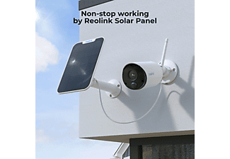 REOLINK Argus Eco mit Solarpanel, Überwachungskamera, Auflösung Foto: 1080P, Auflösung Video: 1080P