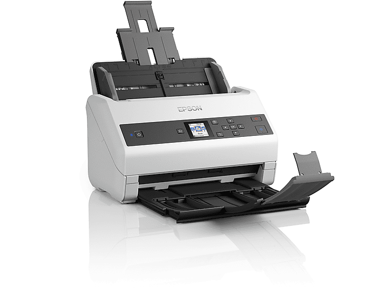 Escáner  - B11B251401 EPSON