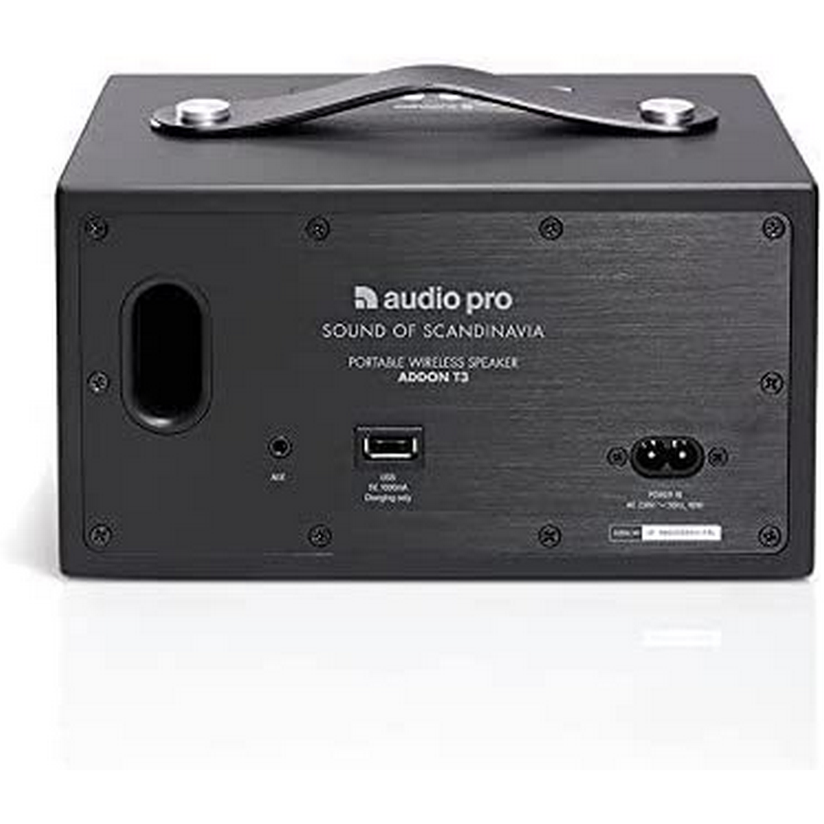 Black Audio Pro speaker with handle, USB port, and power input. The background is white.