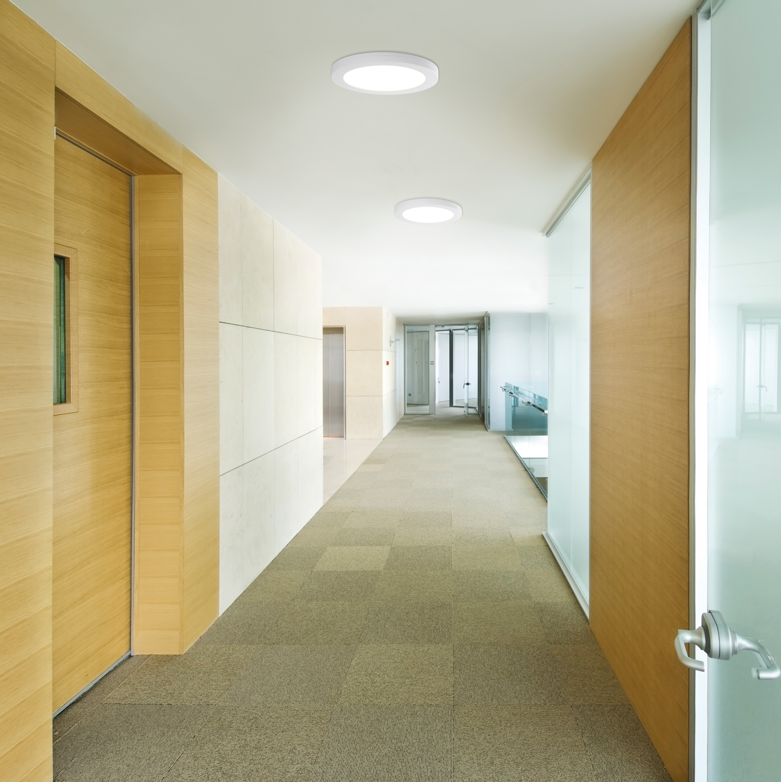 Langer Flur mit Holztüren und Wandpaneelen. Zwei runde Leuchten an der Decke. Teppichboden.