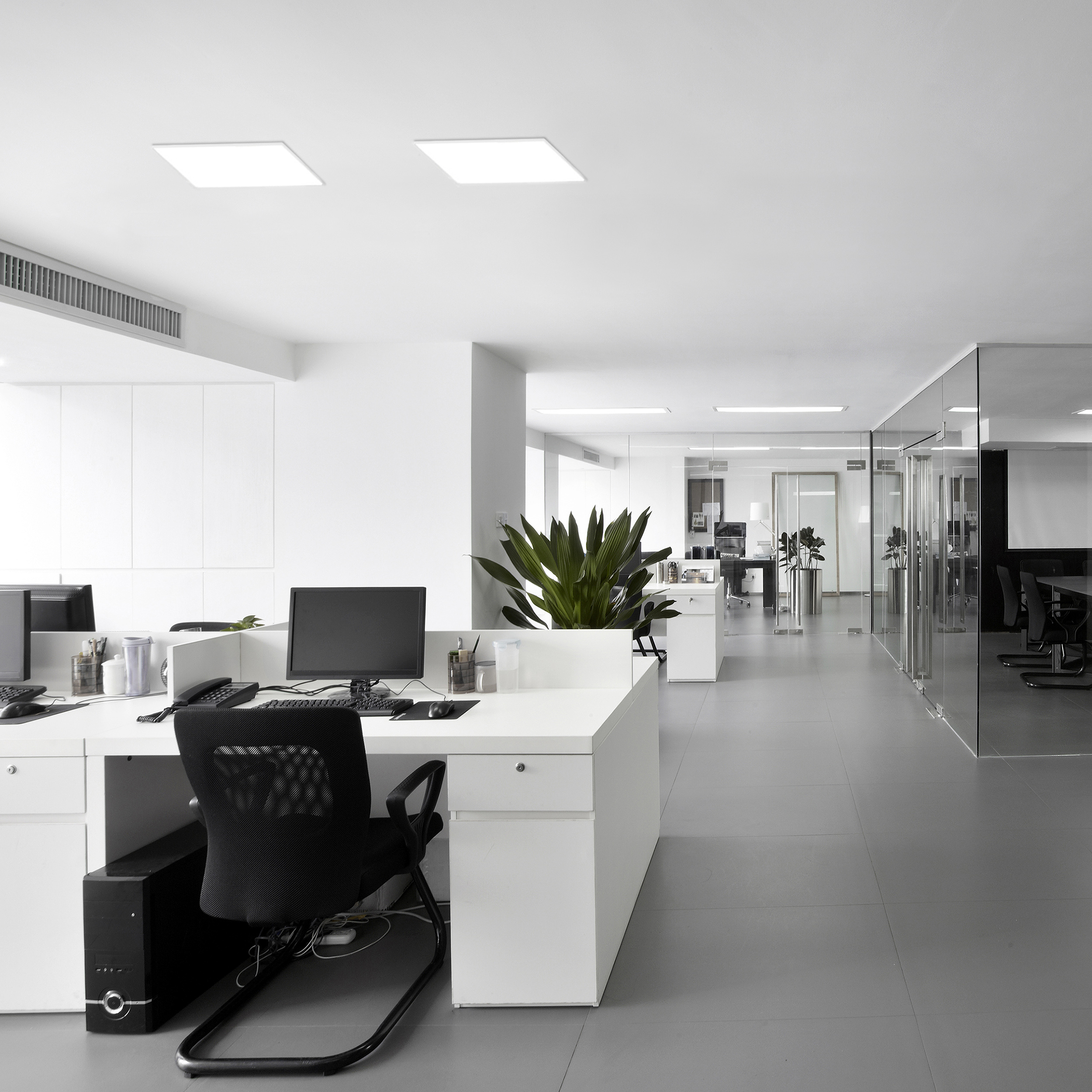 Modernes Büro mit weißen Schreibtischen, Computern, Stühlen und Pflanzen.