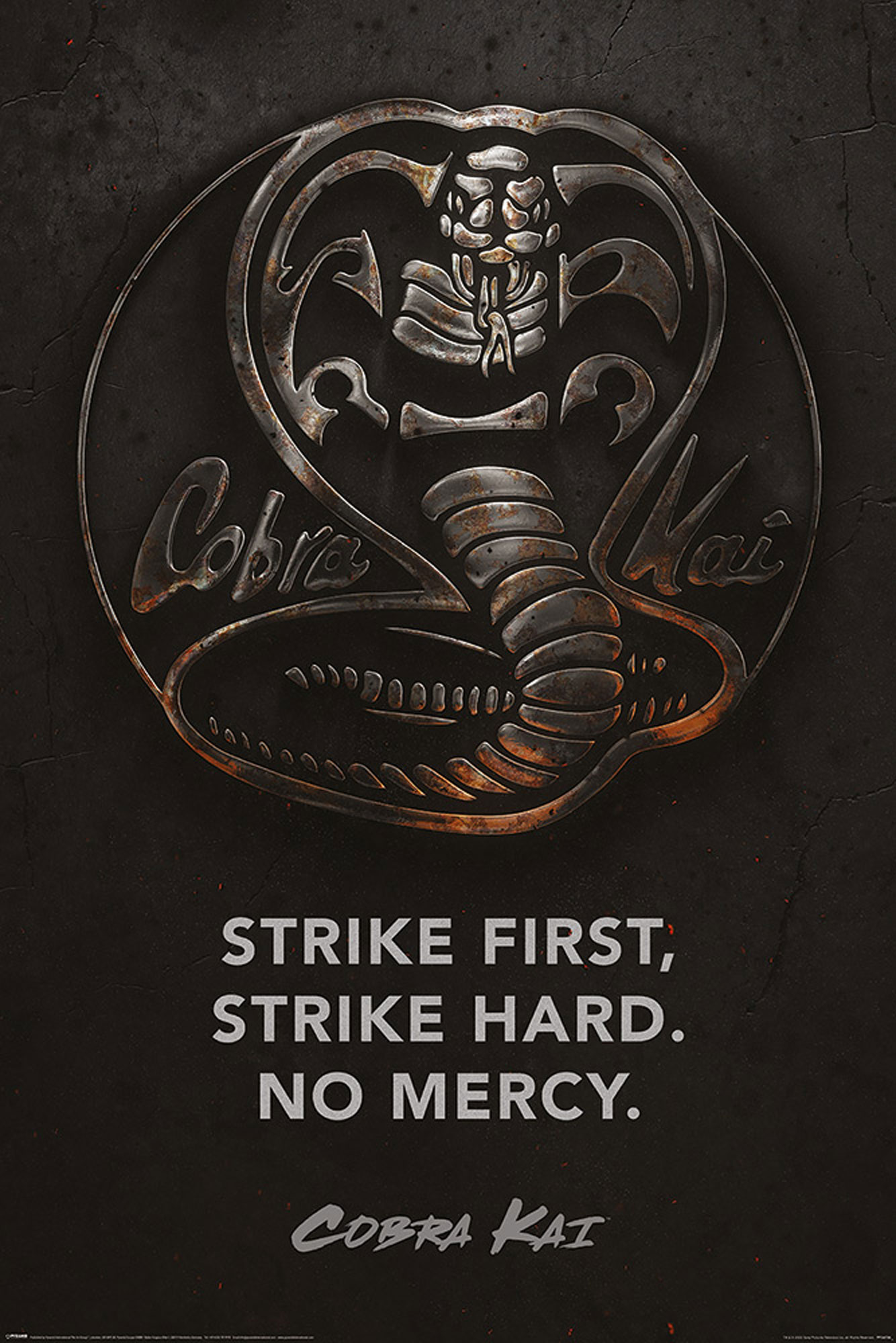 Cobra Kai - Metal