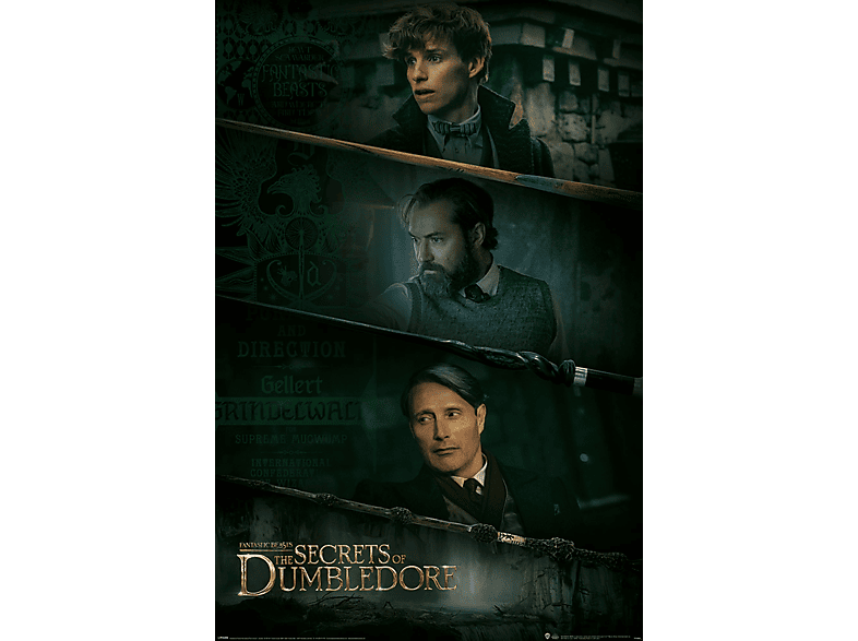 Dumbledore - Wands Secrets - Fantastic Three Beasts