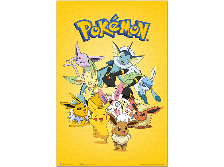 Beförderungsnachrichten Pokemon - Pikachu and Friends