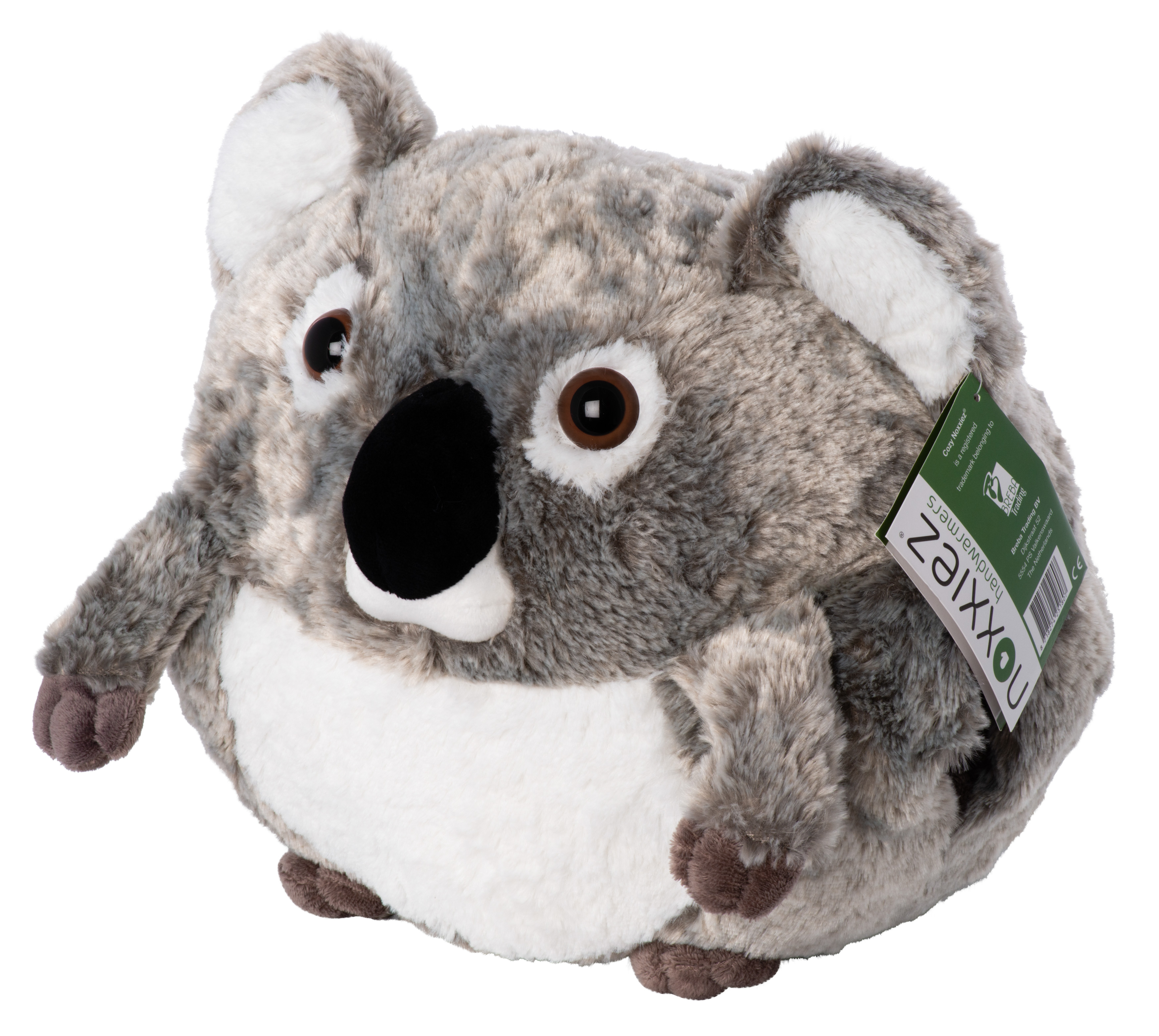 Graues Koala-Plüschtier mit Anhänger. Weißer Hintergrund. Vorderansicht.
