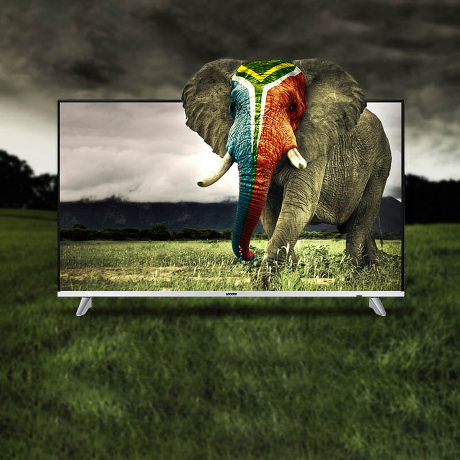 Ein Fernseher, der ein Elefantenbild mit der südafrikanischen Flagge zeigt.