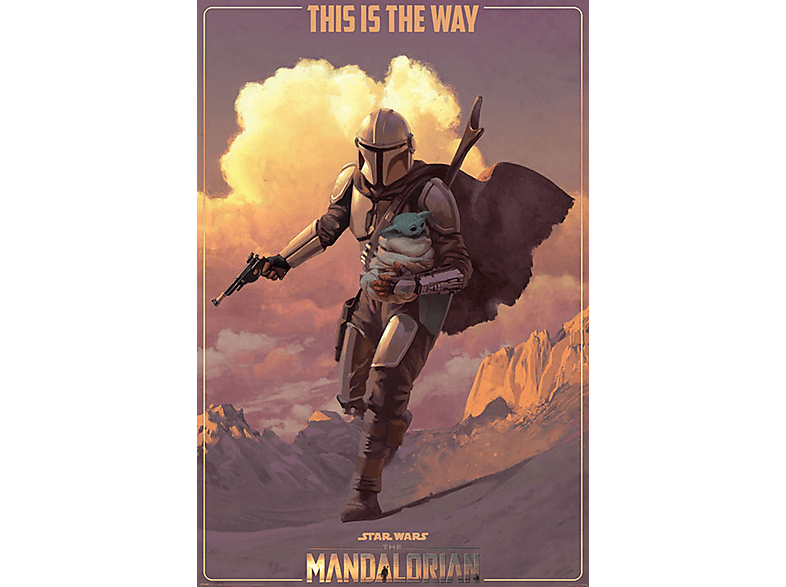 Star Wars - The Mandalorian - on the Run